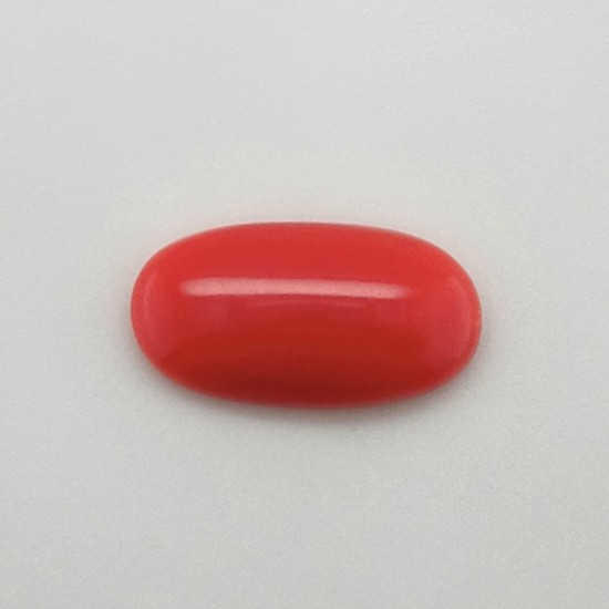 Coral (Moonga) 3.93 Ct Gem Quality Coral (Moonga) 3.93 Ct Gem Quality